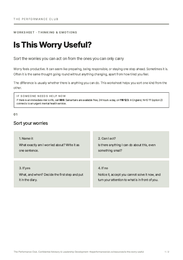 First page of Is This Worry Useful?